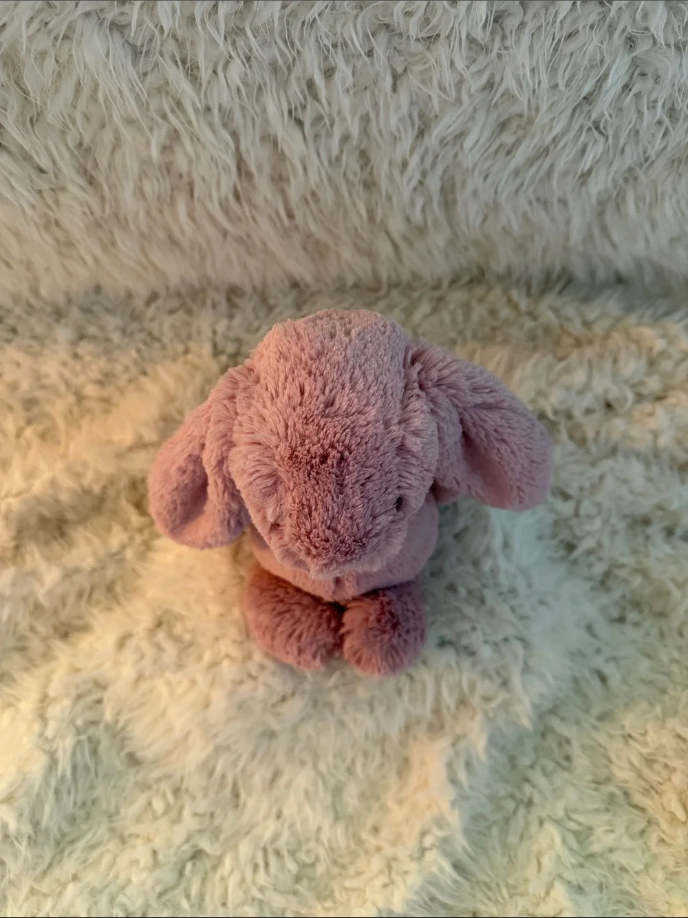 Jellycat cuddly bunny
